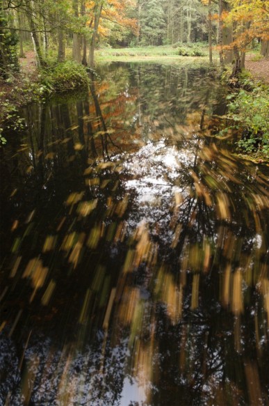 Stropersbos
