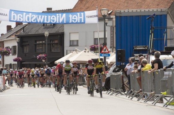 Koers gouden garnaal