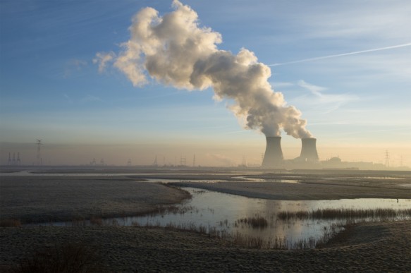 Natuurgebied in de omgeving van Doel.