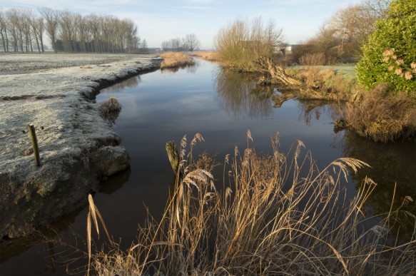 Kreek te Kieldrecht.