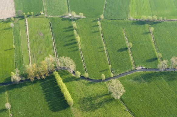 Kale vallei