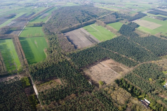 Lembeekse bossen