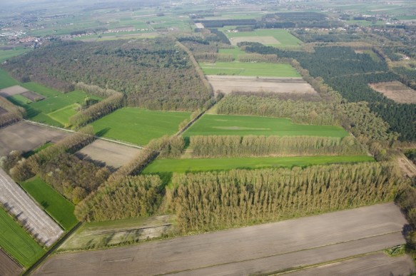 Lembeekse  bossen.
