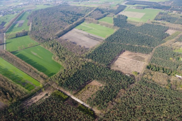 Lembeekse bossen