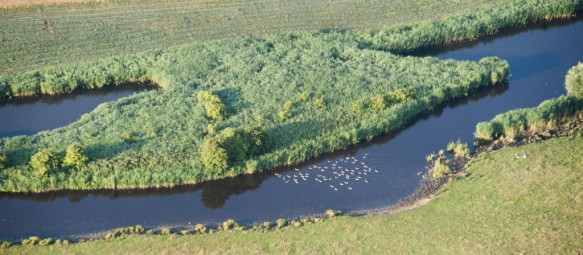 Blokkreek