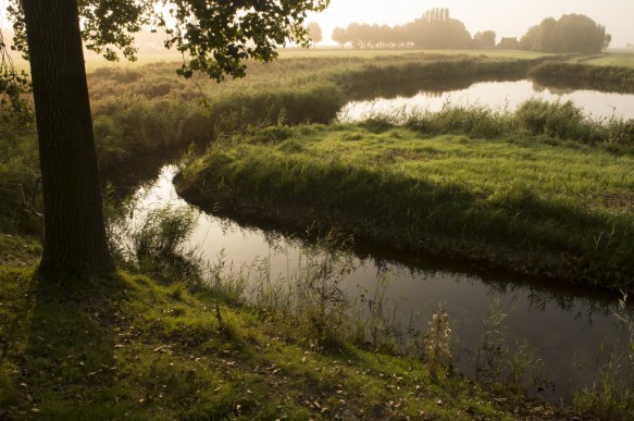 Brandkreek