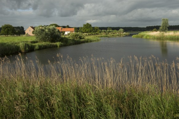 Vrouwkeshoekkreek
