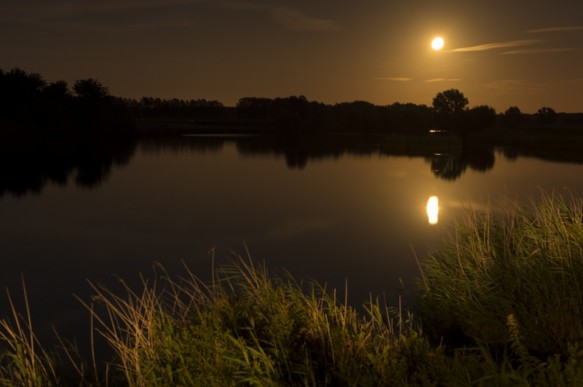 Volle maan