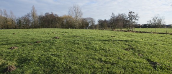 Beveren