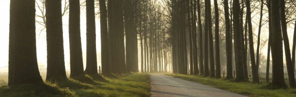 Beveren