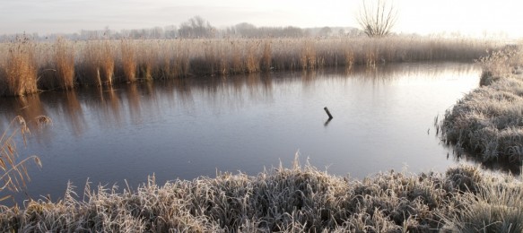 Blokkreek