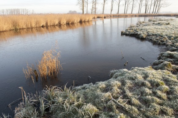 Blokkreek