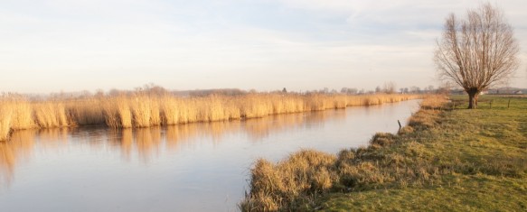 Blokkreek