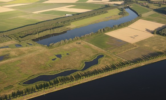 Canisvliet