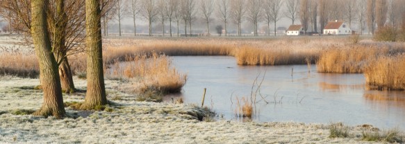 Blokkreek