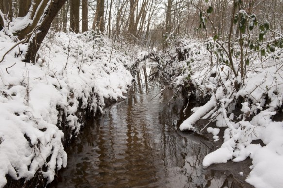 Splenterbeek