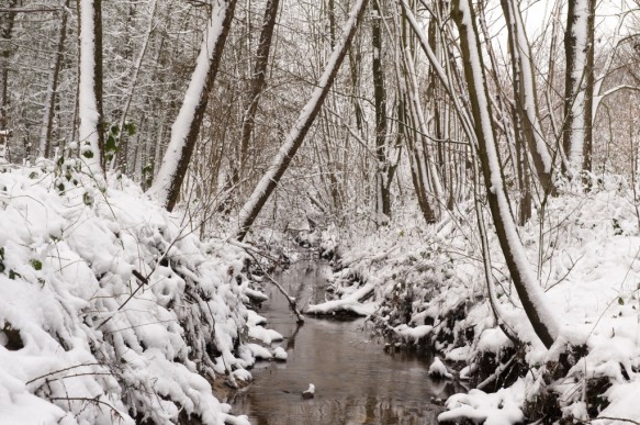Splenterbeek