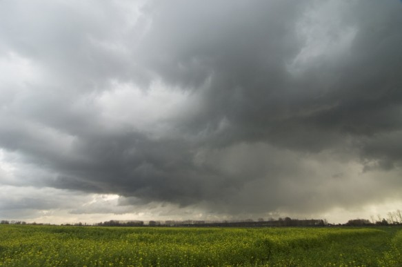 Haantjesgatpolder