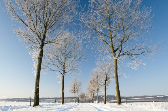 Maldegemveld