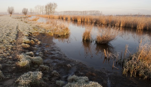 Blokkreek