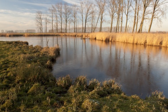 Blokkreek