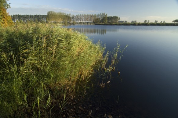 Blokkreek