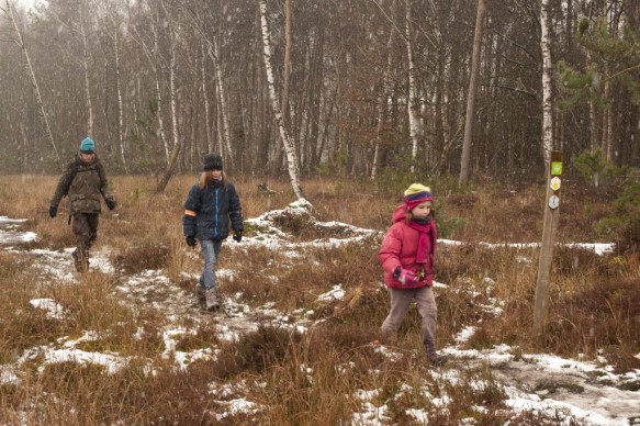 Wandelen in het bos.