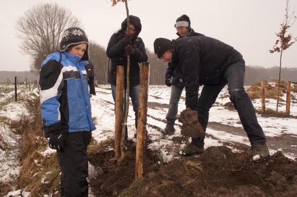 Planten van een boom