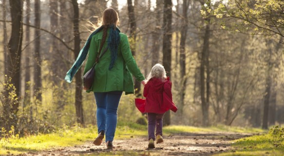 Wandelen in het Maldegemveld