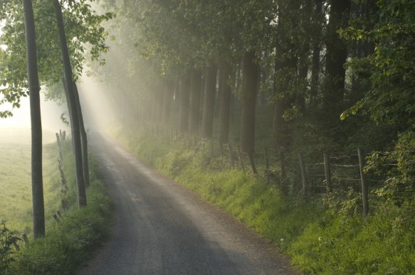 trage weg