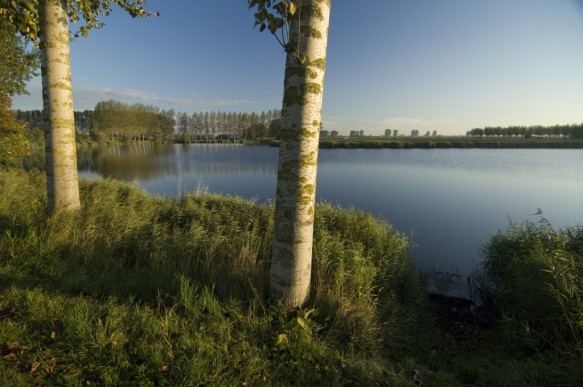 Blokkreek