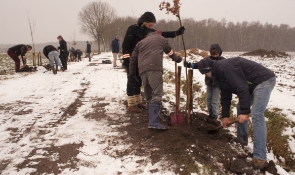 Planten van bomen.