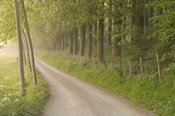Trage weg langs de Nicasiusdijk.