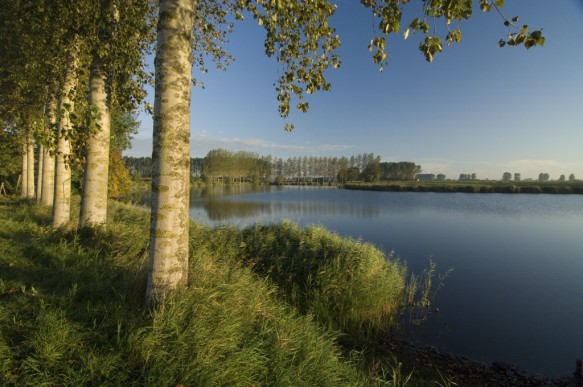 Blokkreek
