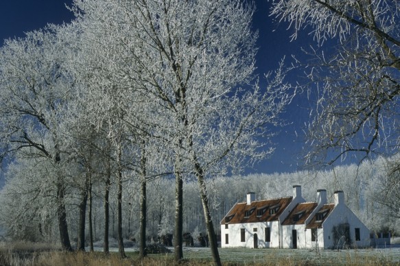 Huisje in de polder