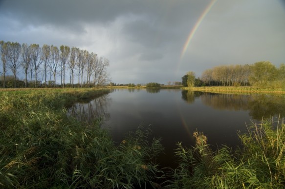 Hollandersgatrkreek
