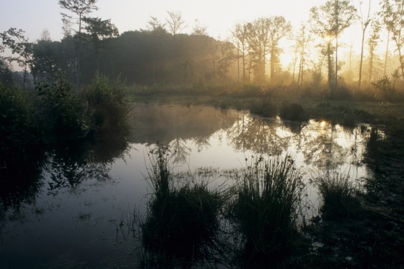 Maldegemveld