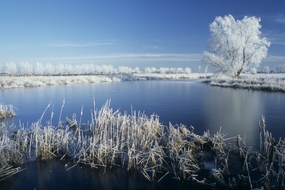 Roeselarekreek