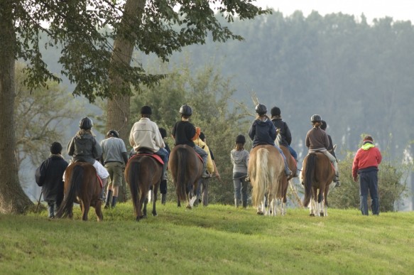 Pony rijden