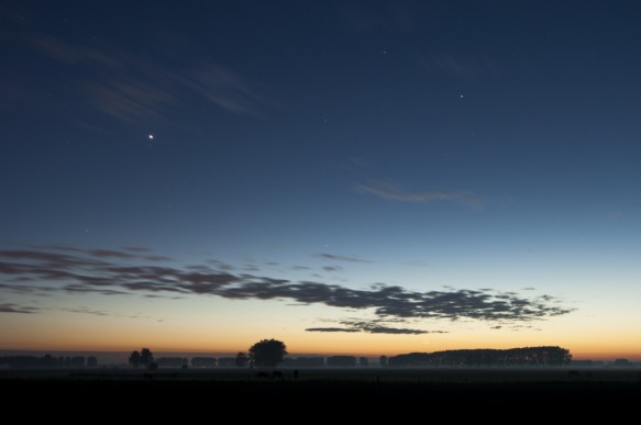 Venus