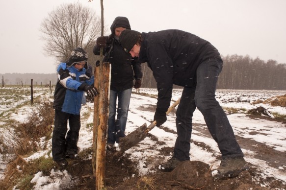 Bomen planten