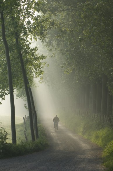 trage weg