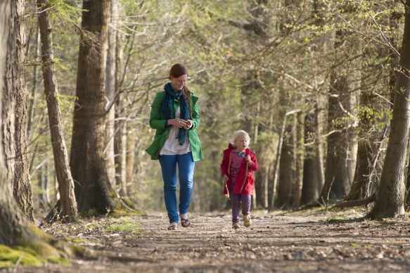 Wandelen in het bos