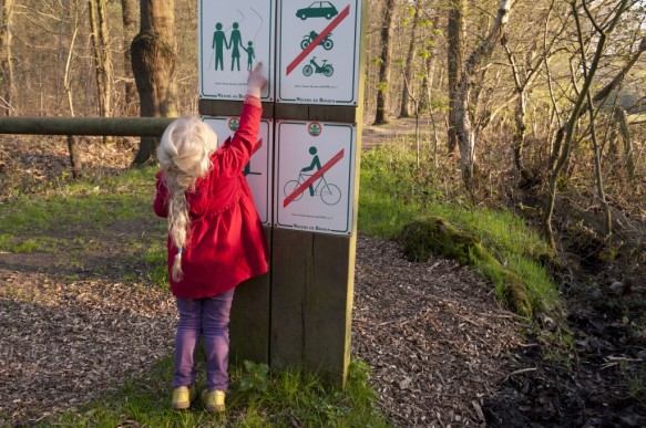 Kind in het bos