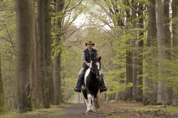 Te paard in het bos.