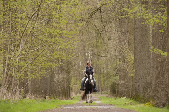 Te paard in het bos.