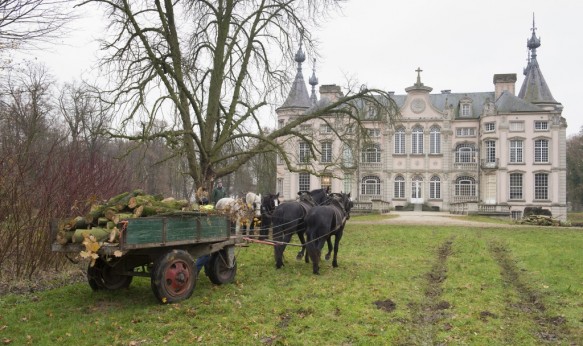 Bosbeheer met paard en kar.