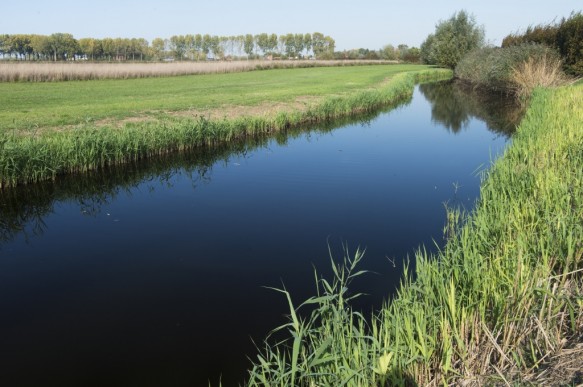 Boekhoute