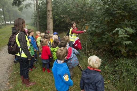 Kinderen in het bos.