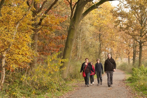 Herfstwandeling in het bos.